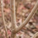 Img.VTax1474.Ex3.Img3