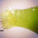 Img.VTax1487.Ex3.Img9