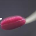 Img.VTax1501.Ex2.Img3