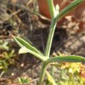 Img.VTax1506.Ex1.Img5