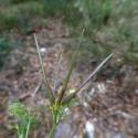 Img.VTax1509.Ex2.Img5