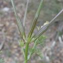 Img.VTax1509.Ex2.Img6