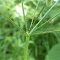 Img.VTax1516.Ex2.Img5