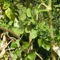 Img.VTax1524.Ex2.Img5