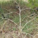 Img.VTax1524.Ex2.Img7