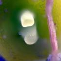 Img.VTax1524.Ex3.Img5