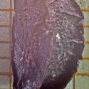 Img.VTax1524.Ex3.Img7