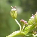 Img.VTax1559.Ex2.Img9