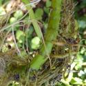 Img.VTax1579.Ex1.Img6