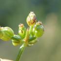 Img.VTax1584.Ex1.Img7