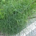 Img.VTax1602.Ex1.Img5