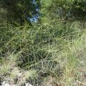 Img.VTax1602.Ex2.Img1