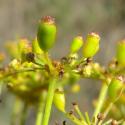 Img.VTax1602.Ex2.Img3
