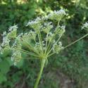 Img.VTax1604.Ex1.Img6