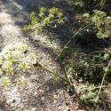 Img.VTax1604.Ex2.Img1