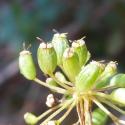 Img.VTax1604.Ex2.Img7