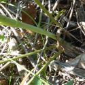 Img.VTax1604.Ex2.Img8