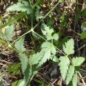 Img.VTax1604.Ex2.Img9