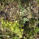 Img.VTax1604.Ex3.Img1