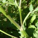 Img.VTax1611.Ex1.Img6