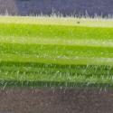 Img.VTax1612.Ex1.Img1
