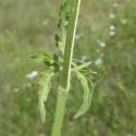 Img.VTax1615.Ex3.Img1