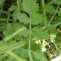 Img.VTax1615.Ex3.Img5