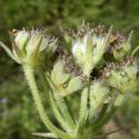 Img.VTax1615.Ex3.Img9