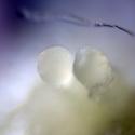 Img.VTax1619.Ex4.Img1