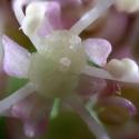 Img.VTax1619.Ex4.Img5