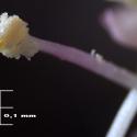 Img.VTax1619.Ex4.Img6