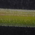 Img.VTax1619.Ex4.Img8