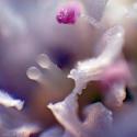 Img.VTax1624.Ex1.Img1