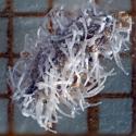 Img.VTax1624.Ex1.Img4