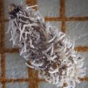 Img.VTax1624.Ex1.Img5