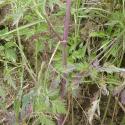 Img.VTax1627.Ex1.Img6