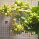Img.VTax1719.Ex2.Img9