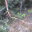 Img.VTax1740.Ex2.Img5