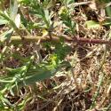 Img.VTax1742.Ex2.Img3