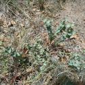 Img.VTax1745.Ex1.Img5