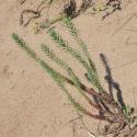 Img.VTax1747.Ex1.Img1