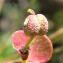 Img.VTax1748.Ex2.Img9