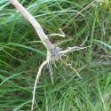 Img.VTax1752.Ex2.Img3