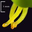 Img.VTax1753.Ex1.Img7