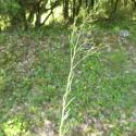 Img.VTax1778.Ex1.Img5
