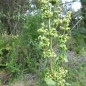 Img.VTax1807.Ex1.Img6