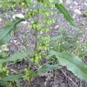 Img.VTax1807.Ex1.Img9
