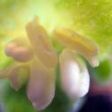 Img.VTax1807.Ex3.Img3