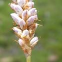 Img.VTax1814.Ex1.Img5