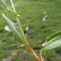 Img.VTax1814.Ex1.Img6